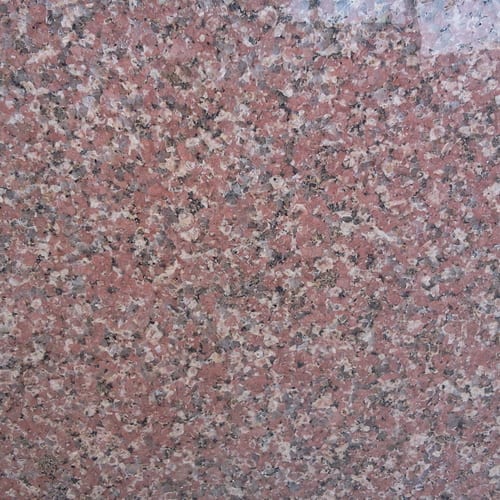 New Nefertiti granite slab face, photographed for the factory catalog — mid-toned red overall.