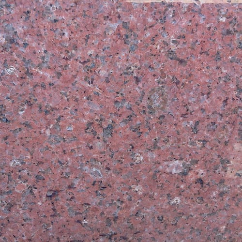 Red Safaga Dark granite slab face, photographed for the factory catalog — mid-toned rose overall.
