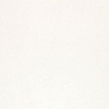 Bianco Thassos marble slab face, photographed for the factory catalog — near-white amber overall.