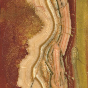 Breccia Pontificia marble slab face, photographed for the factory catalog — mid-toned amber overall.