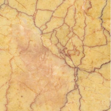 Crema Valencia marble slab face, photographed for the factory catalog — light amber overall.