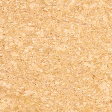 Giallo Coral marble slab face, photographed for the factory catalog — light amber overall.