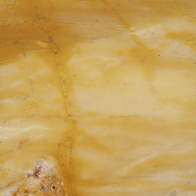 Giallo Siena marble slab face, photographed for the factory catalog — mid-toned amber overall.