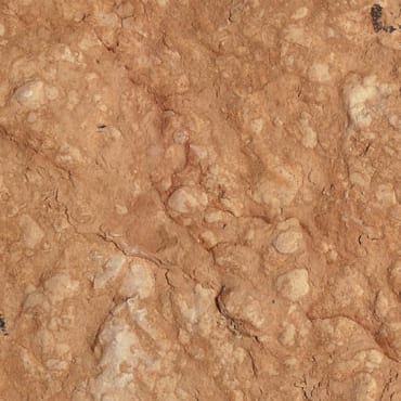 Lessinia Rosa Rustica marble slab face, photographed for the factory catalog — mid-toned amber overall.