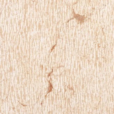 Lessinia Rosa Scratched marble slab face, photographed for the factory catalog — near-white amber overall.