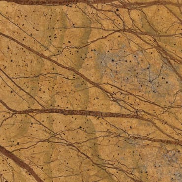 Rain Forest Brown marble slab face, photographed for the factory catalog — mid-toned brown overall.